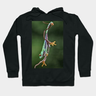 Full Stretch Hoodie